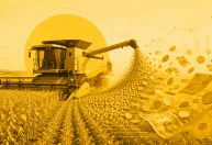Juro alto pesa mais no produtor rural pessoa física, mostra estudo