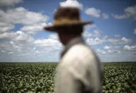 Juro alto pesa mais no produtor rural pessoa física, mostra estudo